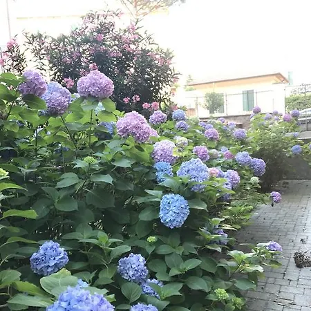 Casa Delle Vittorie Apartament Rzym